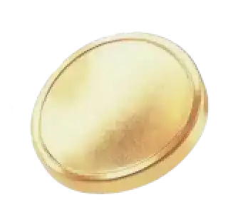 Icona moneta — Campo Borsante trading digitale